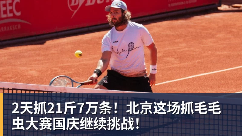2天抓21斤7万条！北京这场抓毛毛虫大赛国庆继续挑战！