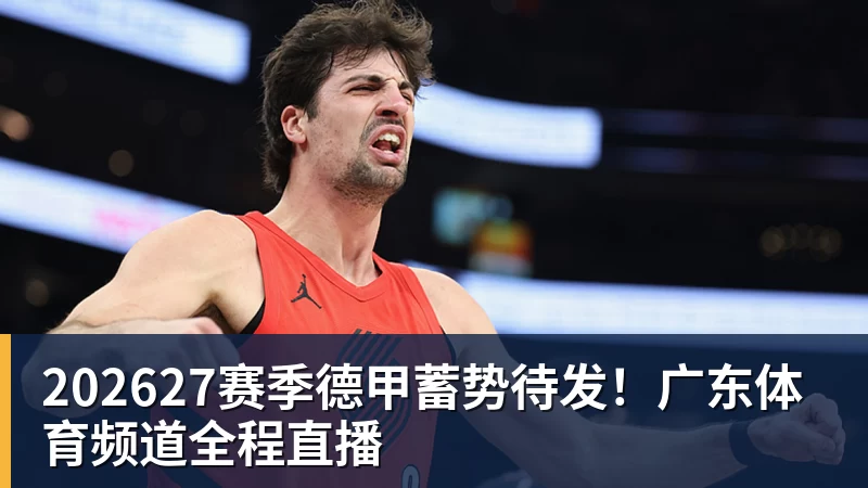 202627赛季德甲蓄势待发!广东体育频道全程直播